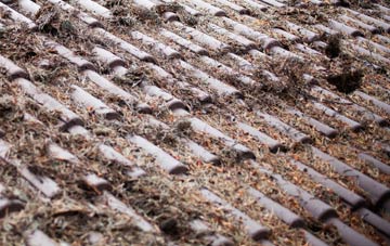 Great Snoring roof cleaning companies